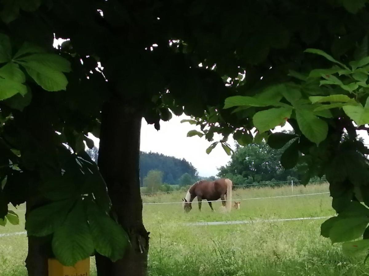 Waldheimat Villa Miltach Buitenkant foto